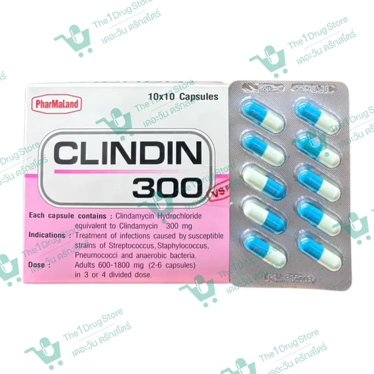CLINDIN-300MG. 10'S